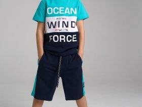 Комплект для мальчика: футболка, шорты