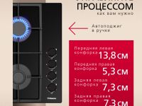 Газовая варочная поверхность Hansa BHKS661830