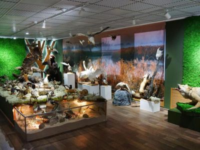 Пуровский районный историко-краеведческий музей