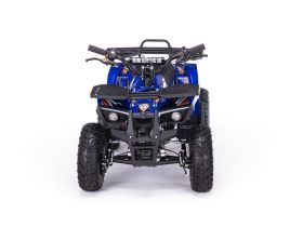 Квадроцикл MOTAX Grizlik X16 (ES, BW)