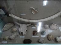 Музейно-выставочный центр им. М. М. Чумакова