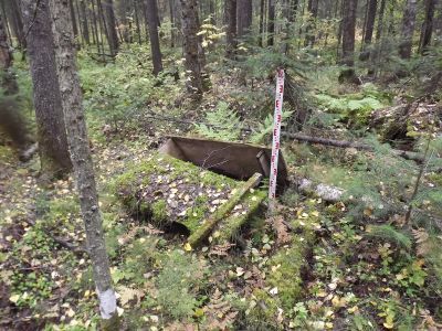 Святилище Каль-нехос Най-эквы и Тулям-ур-ойки