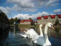 Сад имени С. Т. Аксакова