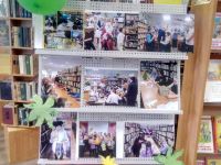 Соболевская библиотека