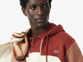 Мужская толстовка Lacoste из хлопка