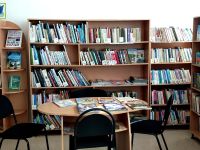 Нижнегумбетовская сельская библиотека