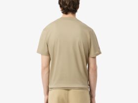 Мужская хлопковая футболка Lacoste