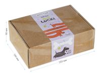 Набор канцелярских принадлежностей подарочный MESHU "Best friend", 18 предметов