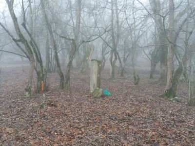 Кладбище "Жичънар"