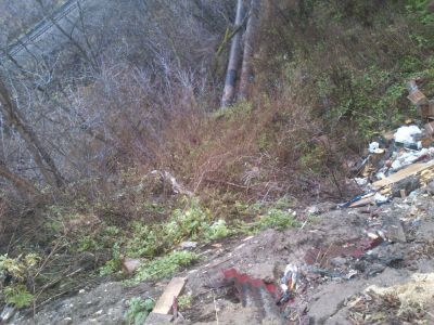 Место революционных событий в 1903 - 1905 гг.