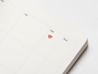 Еженедельник недатированный FALAFEL BOOKS А5, 80гр 13x21см