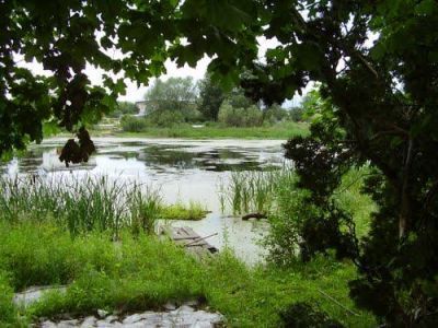 Усадьба "Берсеневка": - парк