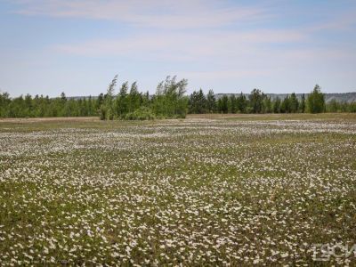 Землетрясения силой до 6–8 баллов могут произойти в Якутии 