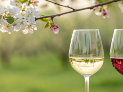 2 апреля стартовали весенние «Дни российских вин 2025»