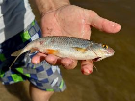 Щука 2,5 кило и трехлетний рыбак. В Якутии прошли соревнования по любительской рыбалке