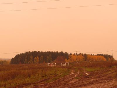 Священная роща