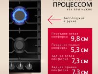 Газовая панель Hansa BHGS630301