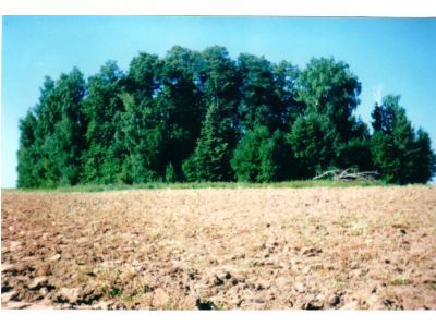 Священная роща