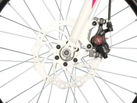 Детский велосипед Novatrack Alice Disc 20, год 2021, цвет Фиолетовый