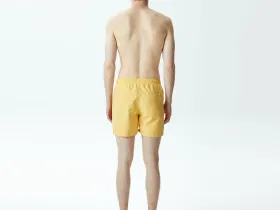 Мужские купальные шорты Lacoste