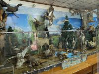 Ширинский районный краеведческий музей им. Д. С. Лалетина