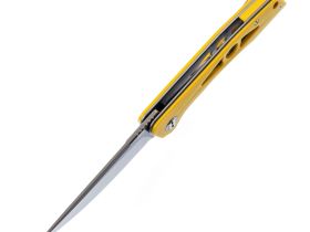 Складной нож Bestech Eye of Ra Yellow , сталь D2, G10