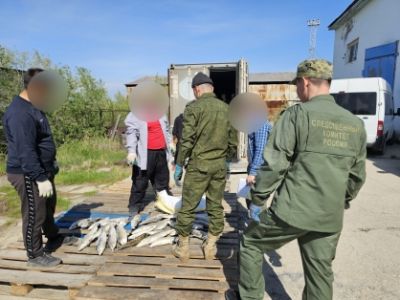 В отношении депутата и предпринимателя вынесен приговор по уголовному делу  о незаконном обороте водных биологических ресурсов