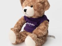 Плюшевый мишка Playtoday, 40 см