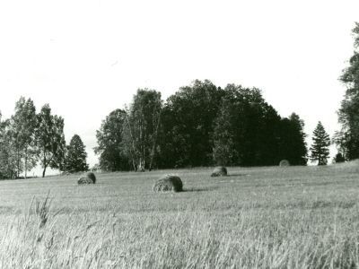 Усадьба «Подберезье». Парк