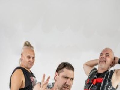 Скворцы Степанова