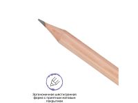 Набор карандашей чернографитных Гамма 12 шт, 5B-5H, картон. упаковка, европодвес