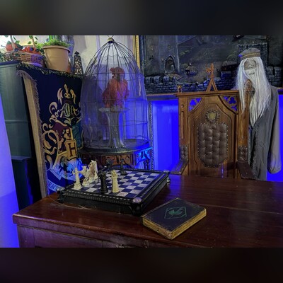 Свободное посещение в Доме Гарри