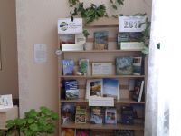 Стрелецкая сельская библиотека