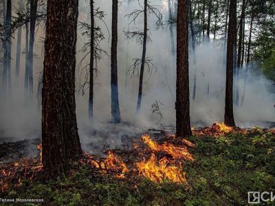 Пять лесных пожаров ликвидировали за сутки в Якутии