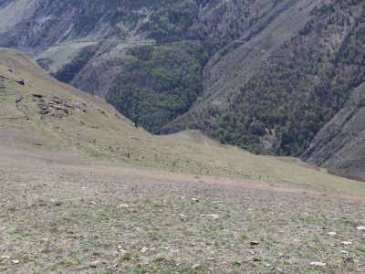 Остатки древнего кладбища