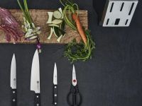 Zwilling Набор из 5 ножей с ножницами и затачивающим блоком серый Gourmet Zwilling