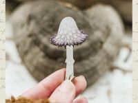 Деревянная брошка Дворникова А. "Чернильный гриб"