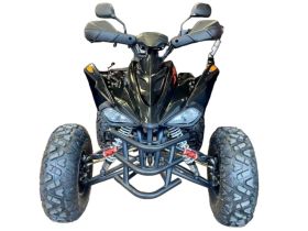 Квадроцикл MOTORHEAD RockIt 200