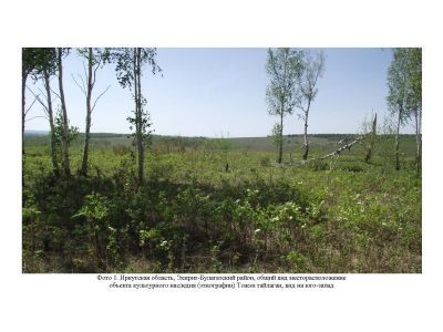 Тодэн тайлагн