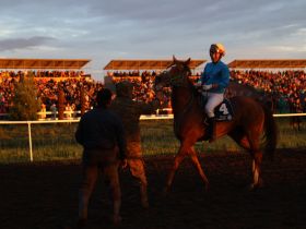 Стали известны победители конных скачек на призы главы Якутии