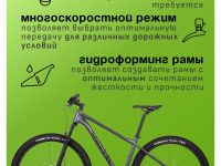 Горный велосипед Atom Bion Nine 20, год 2024, цвет Серый, ростовка 18.5