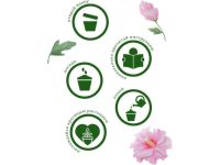 Набор для выращивания растений "Вырасти, Дерево!", "Сирийская роза"