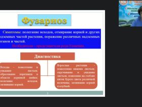 Международный вебинар "Защита декоративных цветочных культур от болезней в открытом и защищенном грунте. Комплексная защита декоративных культур от вредителей, болезней и неблагоприятных метеорологических условий"