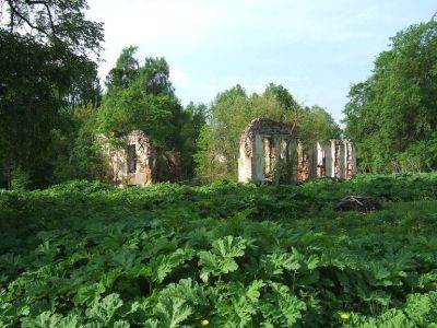 Главный дом