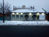 Музей скульптуры им. Петиных