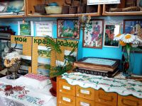 Потьминская сельская библиотека