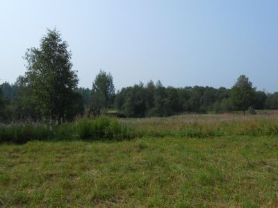 Место усадьбы, где жил Миклухо-Маклай (1846-1888 гг.)