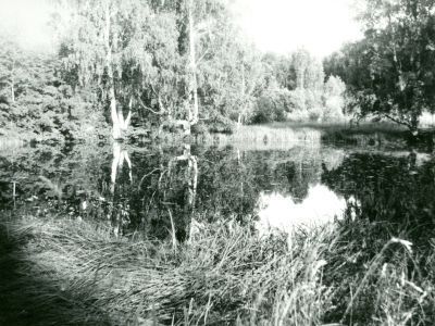 Усадьба Яковлевых "Помброво": парк