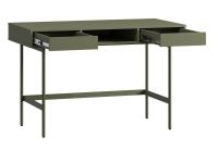 Письменный стол Эрлин-1 120x60 Оливковый