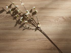 Ветвь Buona Pasqua II